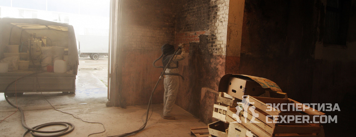 Удаление-и-обработка-от-плесени-овощехранилище-Москва-кожуховская